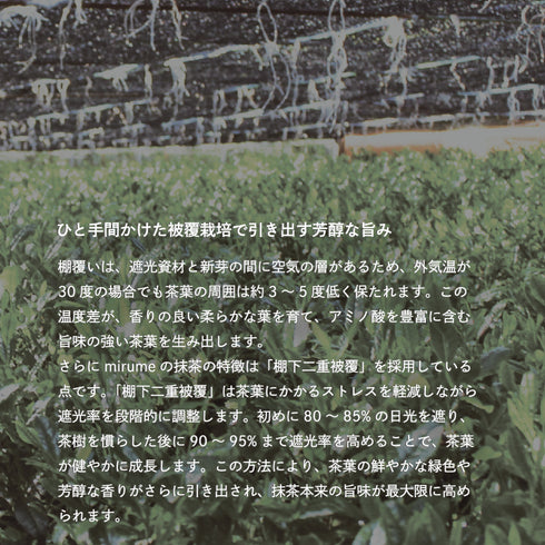 抹茶  褻(Matcha Ke) 30g